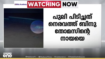 വയനാട് മൈലമ്പാടി മണ്ഡകവയലിൽ   വളർത്തുനായയെ പുലി പിടിച്ചു