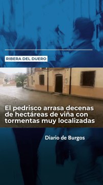 El pedrisco arrasa en Burgos decenas de hectáreas de viña con tormentas muy localizadas en la Ribera del Duero