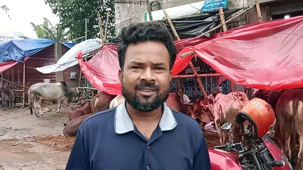 কোরবানীর গরুর হাটের হাল-চাল, হাটের শুরুতে যেমনটি ছিলো মুগদা-কমলাপুর গরুর হাট