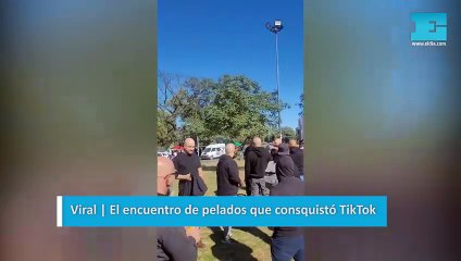 Viral | El encuentro de pelados que consquistó TikTok