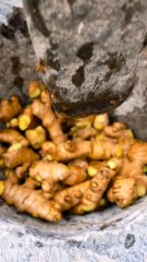 mixer of Ginger and dates it's very healthy and also type of Qawa..so share this vedio and try to make for your health