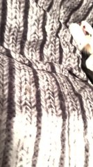 Man Gets Scared When Cat Doesn't Wake Up