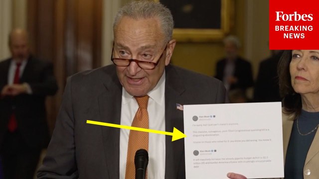 Chuck Schumer, Democratic Leaders Celebrate Elon Musk's Attack On 'Big Beautiful Bill'