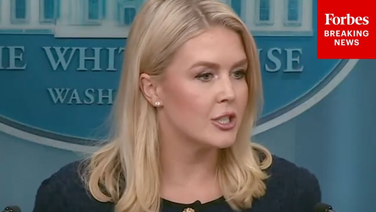 Karoline Leavitt Pressed On Illegal Immigrant Accused Of Threatening Trump After Man Admitted To Framing Him