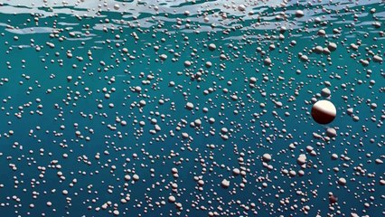 A acidificação dos oceanos