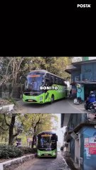 Flixbus en CDMX