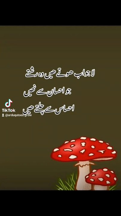 Urdu quotes grow ✍️😍