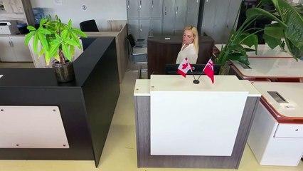 Modular Reception Desk by Officestock