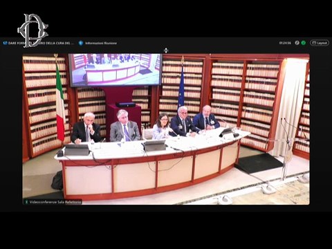 Roma - Dare forma al futuro della cura del cancro della prostata - Messaggio di Ascani (03.06.25)