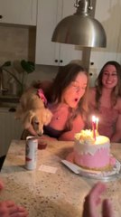 Dog Licks Drink as Woman Blows Out Birthday Candle