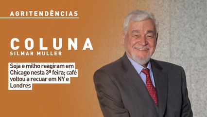 Soja e milho reagiram em Chicago nesta 3ª feira; café voltou a recuar em NY e Londres