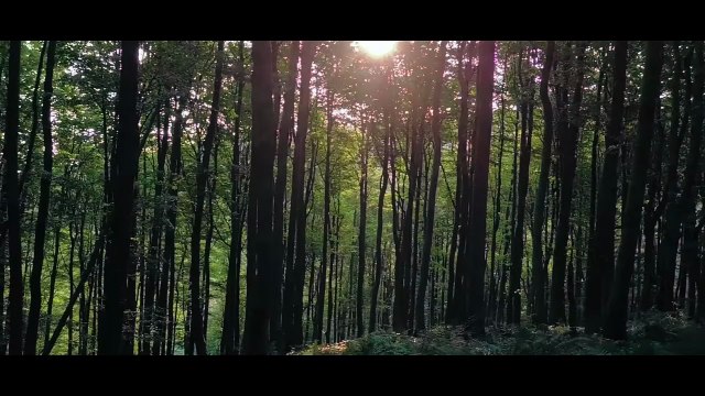 Городские легенды. Парк кошмаров | movie | 2025 | Official Trailer