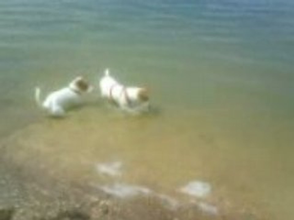 Chiki et Louna dans l'eau 2