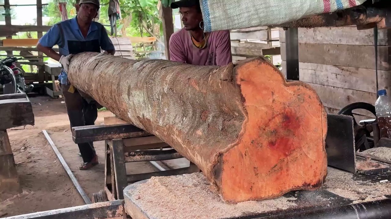 Sawing Wood 2x20 for Home Sawmill Machine Usage Tutorial