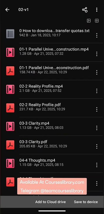 (courseslibrary.com)Nero Knowledge - The Awakened Entrepreneurs Blueprint 2.0