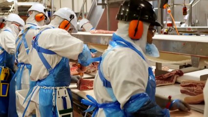 At least 270 South Australian jobs cut as major abattoir announces closure