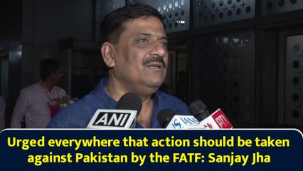 Urged everywhere that action should be taken against Pakistan by the FATF: Sanjay Jha