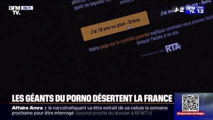 Pornhub, Youporn, Redtube...les sites du géant du porno Aylo bloqués en France pour protester contre la législation sur le contrôle de l'âge des utilisateurs
