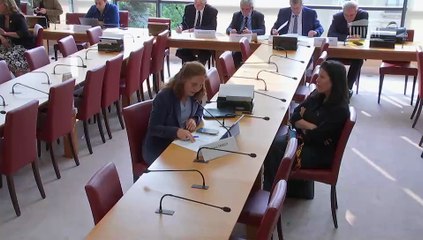 Commission des affaires étrangères : Soutenir le Danemark et le Groenland et œuvrer en faveur d’une plus grande coopération en matière de défense - Mardi 3 juin 2025