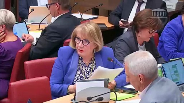 Commission des affaires économiques : Programmation nationale et simplification normative dans le secteur économique de l’énergie (suite) - Mardi 3 juin 2025