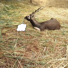 "Humans fight over borders"