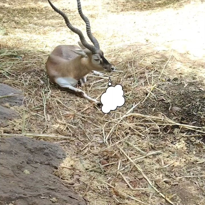 "People say follow your dreams" 😄😄😄