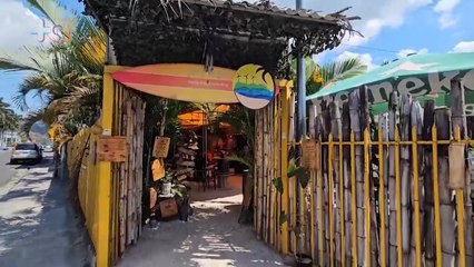 mqn-Un restaurante con alma de playa y un perro salchicha como anfitrión-040625