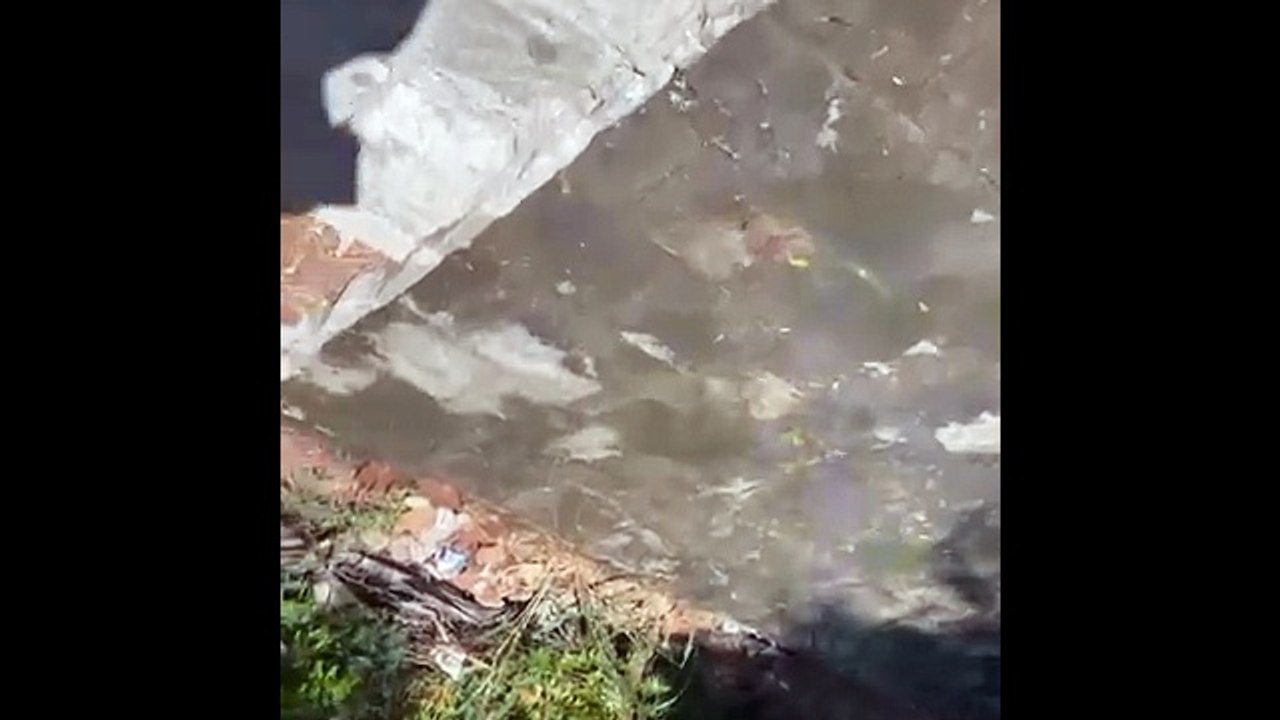 Moradores denunciam esgoto estourado há mais de um mês na rua Elpídio Portela, em Patos