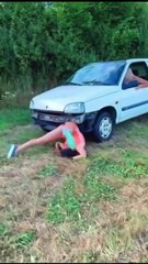 🤣🤣🤣Funny Videos - Funniest Kittens - Cats And