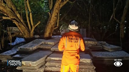 Resgate de homem em árvore dura 72 horas