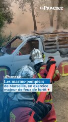Les marins-pompiers de Marseille, en exercice majeur feu de forêt dans le secteur de Sormiou.