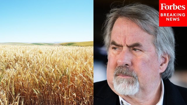 Doug LaMalfa Sounds Alarm On Harmful Fungal Pathogen To Crops ‘Smuggled In’ By Chinese Nationals