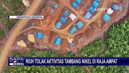 Ekosistem Raja Ampat Terancam, Kenapa Tambang Nikel Baru Dihentikan Sementara?