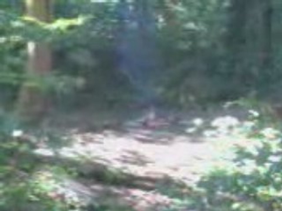 Vidéo010