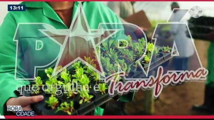 PARÁ QUE ORGULHA - SUSTENTABILIDADE NO TURISMO - BORA CIDADE 03.06.2025