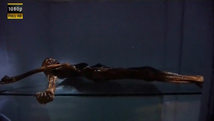 The Chilling Murder Mystery of Ötzi the Iceman: Uncovering 5,000 Years of Secrets