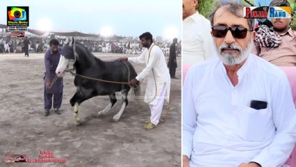 Horse Dance l Ababeel l 3 April 2025 Sheikhu Sharif Okara l Haji Rana Niaz Aslam Kanju