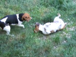 Petite détente en famille