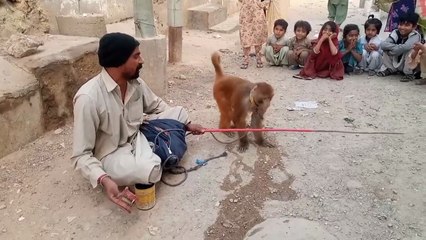 Bander Wala 🐒| bandar ka khail | bandar ka tamasha | funny story