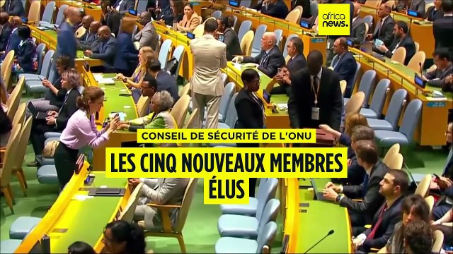 Conseil de Sécurité de l'ONU : les cinq nouveaux membres élus