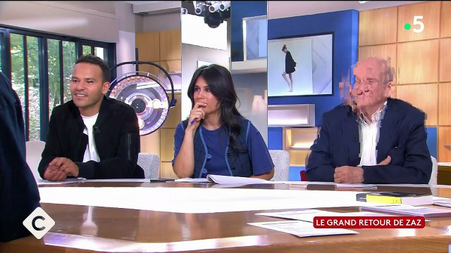 Le venin des gens... : Zaz a voulu mettre fin à sa carrière à cause des critiques