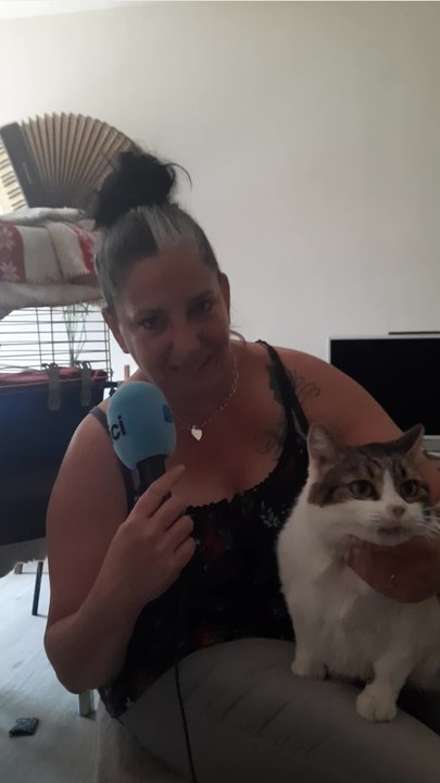 Une cinquantaine de chats errants ont pu être stérilisés à Miramas grâce à des bénévoles