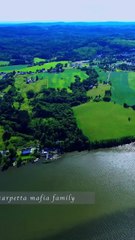 By day shes his bodyguard by night she becomes his personal kitten