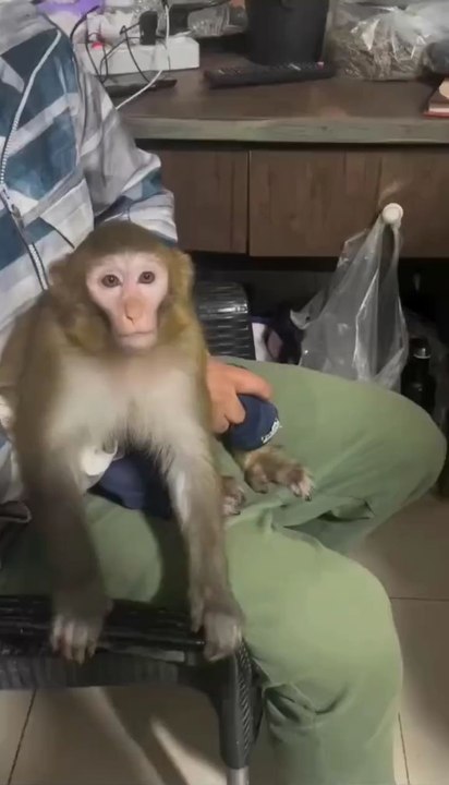 bienvenido