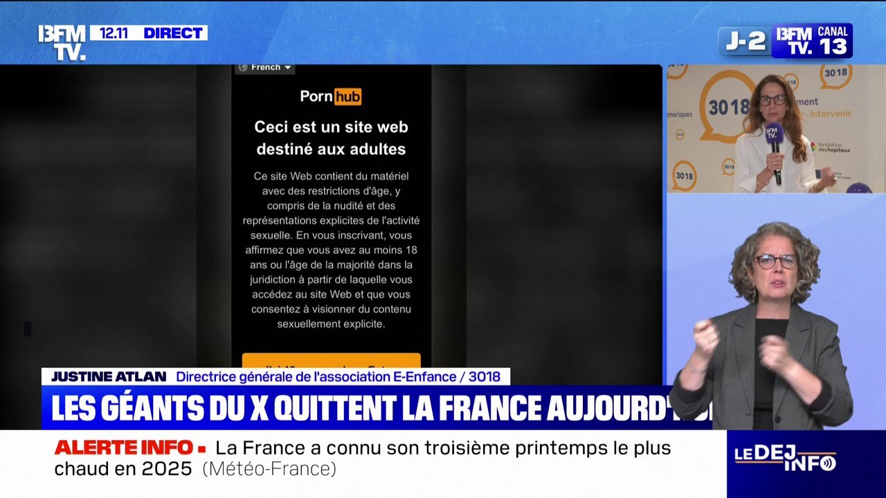 "100% des mineurs aujourd'hui peuvent consommer en ligne de la pornographie", alerte Justine Atlan (E-Enfance)