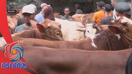 Jualan lembu menurun menjelang Aidiladha di Indonesia