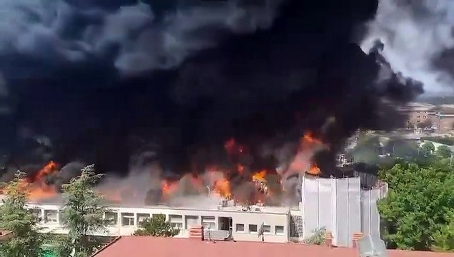 Viterbo, fiamme all'Università della Tuscia: evacuata la facoltà di Agraria