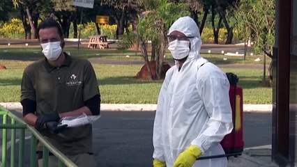 Brasília confirma caso de gripe aviária em zoológico