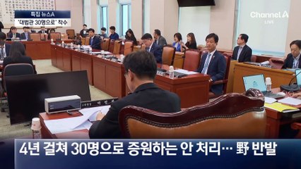 대법관 14명→30명…첫날 법사위 소위 통과