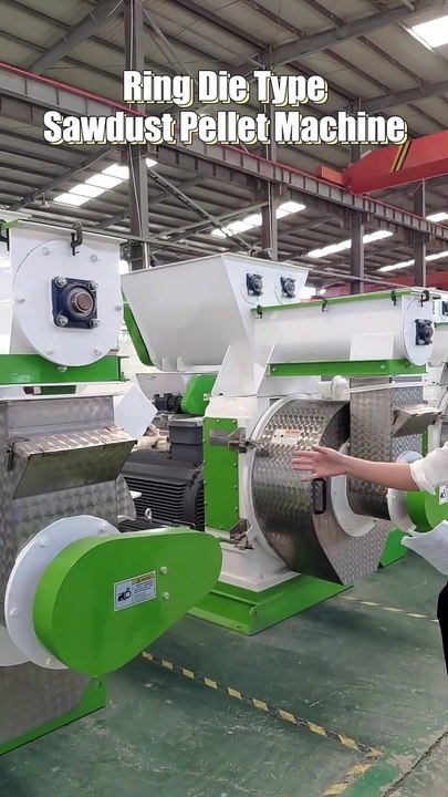 🎬 Ring Die Type Sawdust Pellet Machine | High-Efficiency Biomass Pellet Production 🌱